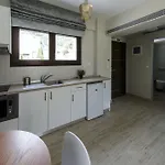 Hatzoudis Luxury Apartament Chrysi Ammoudia